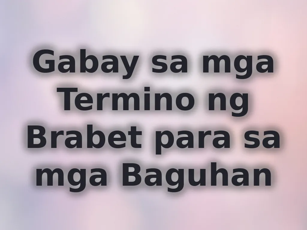 Gabay sa mga Termino
